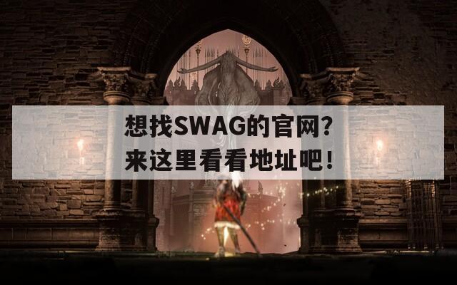 想找SWAG的官网？来这里看看地址吧！