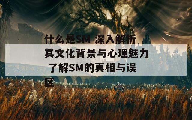 什么是SM 深入解析其文化背景与心理魅力 了解SM的真相与误区