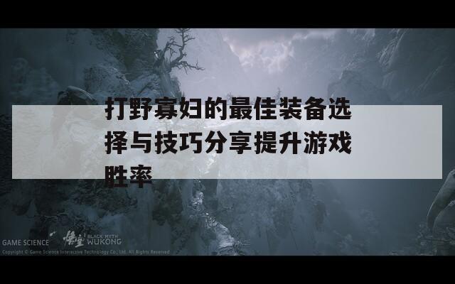 打野寡妇的最佳装备选择与技巧分享提升游戏胜率