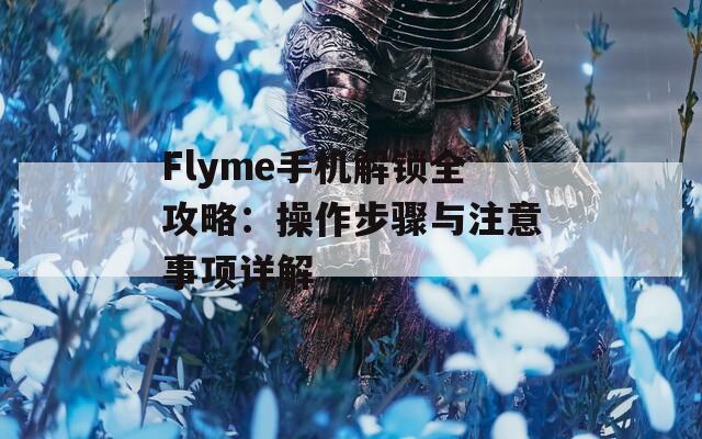 Flyme手机解锁全攻略：操作步骤与注意事项详解