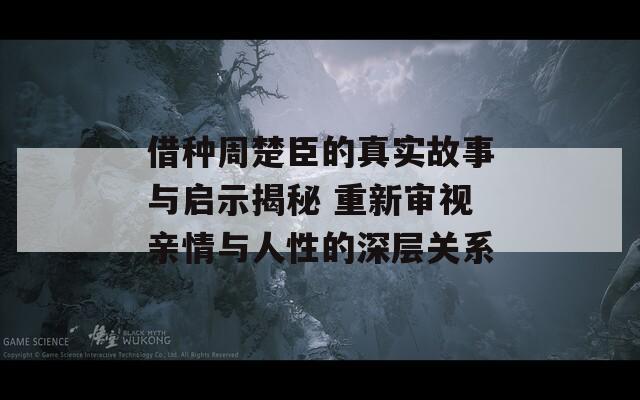 借种周楚臣的真实故事与启示揭秘 重新审视亲情与人性的深层关系