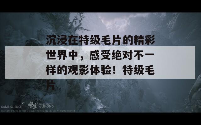 沉浸在特级毛片的精彩世界中，感受绝对不一样的观影体验！特级毛片