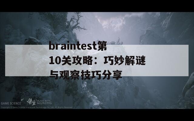 braintest第10关攻略：巧妙解谜与观察技巧分享