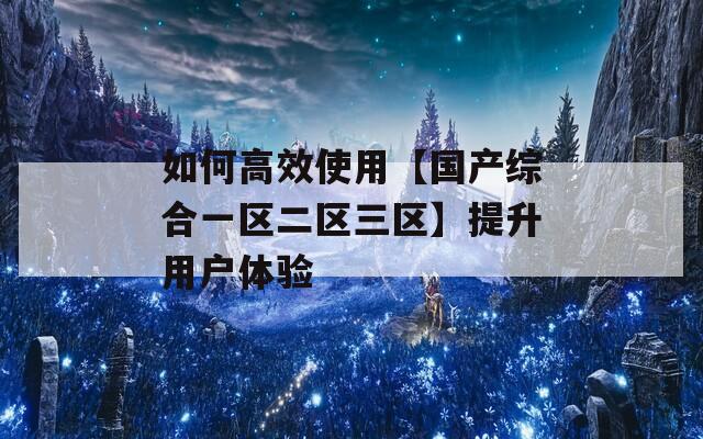 如何高效使用【国产综合一区二区三区】提升用户体验