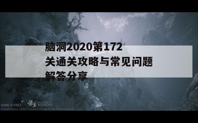 脑洞2020第172关通关攻略与常见问题解答分享