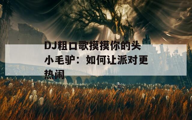 DJ粗口歌摸摸你的头小毛驴：如何让派对更热闹