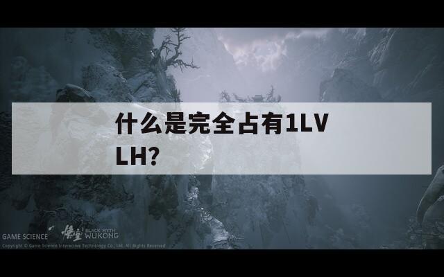 什么是完全占有1LVLH？