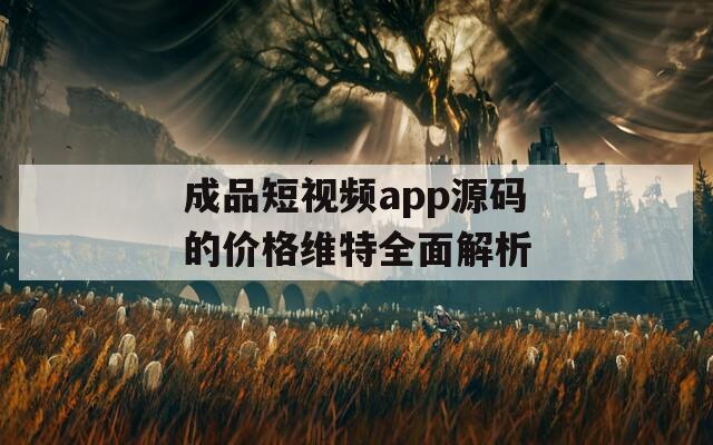 成品短视频app源码的价格维特全面解析