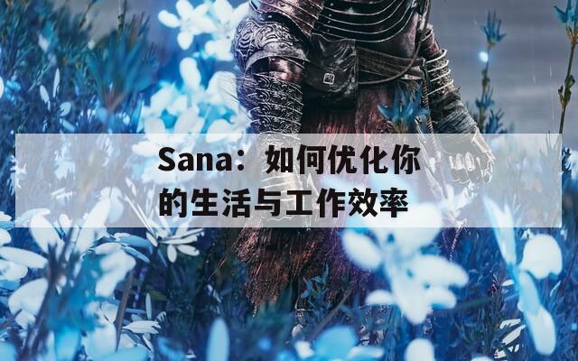 Sana：如何优化你的生活与工作效率