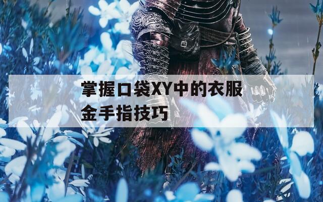 掌握口袋XY中的衣服金手指技巧