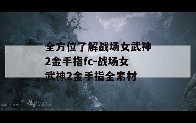 全方位了解战场女武神2金手指fc-战场女武神2金手指全素材