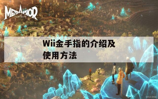 Wii金手指的介绍及使用方法