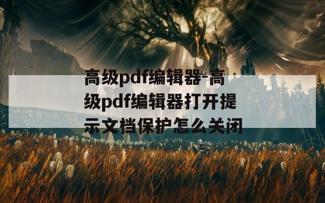 高级pdf编辑器-高级pdf编辑器打开提示文档保护怎么关闭