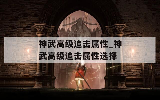 神武高级追击属性_神武高级追击属性选择