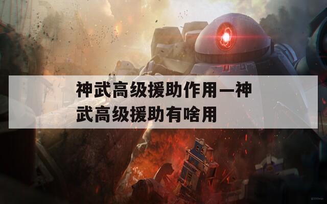 神武高级援助作用—神武高级援助有啥用